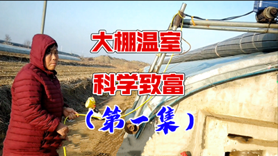 青島風全溫室配套有限公司